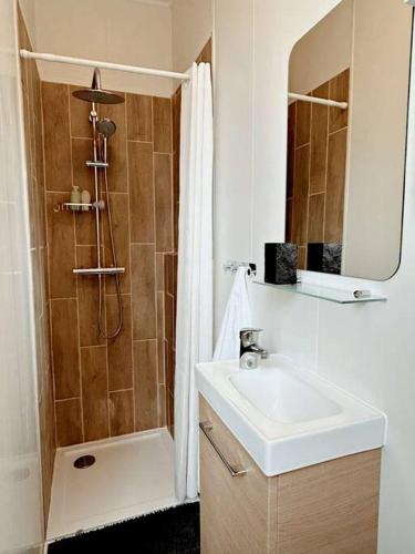a bathroom with a sink and a shower at Cosy Dunkerquois in Dunkerque