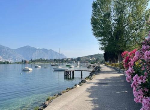 a path next to a lake with boats and flowers at Ferienwohnung Malcesine ,Val di Sogno - Gardasee Italien in Malcesine