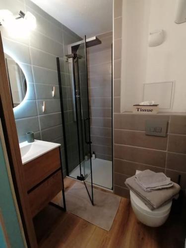 Bilik mandi di Studio neuf - parking - 3 Epis proche Turckheim