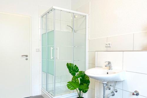 ein Bad mit einer Glasdusche und einem Waschbecken in der Unterkunft 80qm Apartment in Krefeld zentral gelegen mit hohen Decken - BEUYS Apartments - Krefeld in Krefeld
