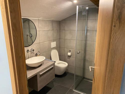 y baño con aseo, lavabo y ducha. en Spring Inn Apartments en Meiringen