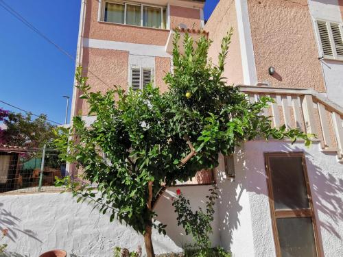 Budynek, w którym mieści się apartament