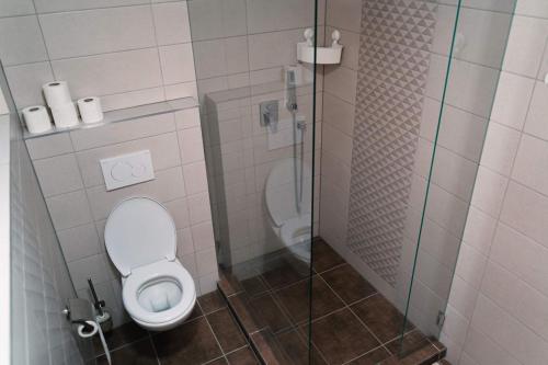 e bagno con servizi igienici e cabina doccia in vetro. di Ubytování u Šťastných - Starovice a Starovice