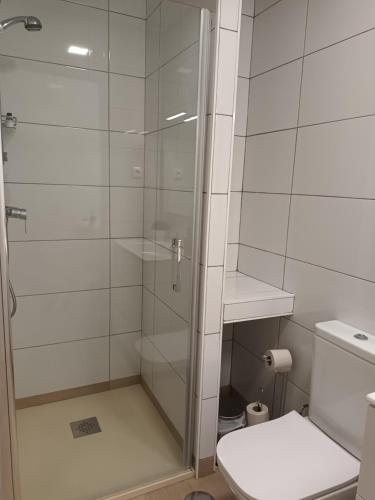 łazienka z prysznicem i toaletą w obiekcie La Casona del Eboni w mieście Alcalá de Henares