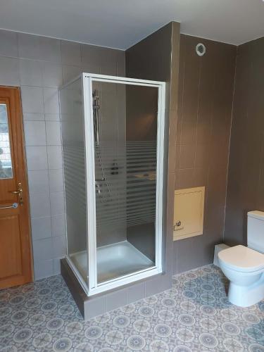 a glass shower in a bathroom with a toilet at Mirabelle Bed & Breakfast in Ribeauvillé
