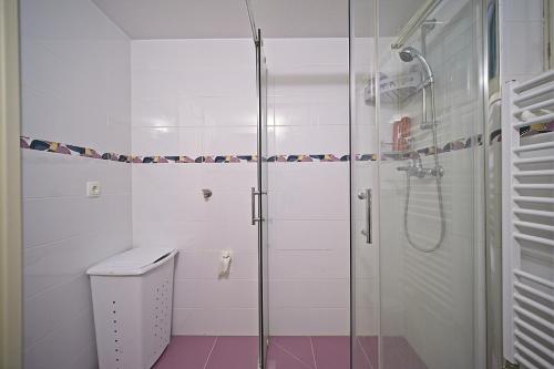 a bathroom with a glass shower stall and a toilet at Apartment Renata in Postira