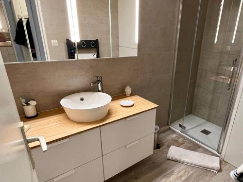 ein Badezimmer mit Waschbecken und Dusche in der Unterkunft T3 climatisé, 3*, 50m de la plage, garage, wifi inclus - FR-1-610-37 in Bormes-les-Mimosas