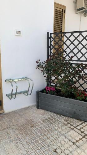 Fotografie z fotogalerie ubytování B&B Casa di Nonna Checca v destinaci Leuca