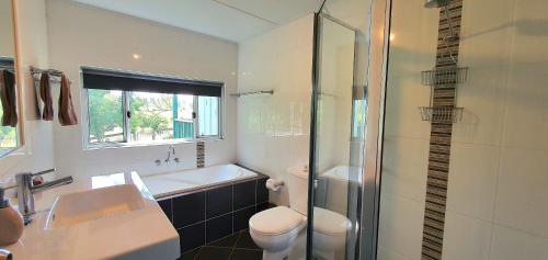 a bathroom with a sink toilet and a shower at Old Schoolmaster's Cottage on the Barrington River in Barrington