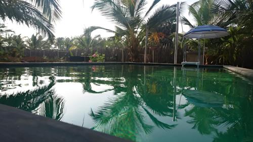 a swimming pool with an umbrella and palm trees at Nayan's Paradise in Kottanitivu
