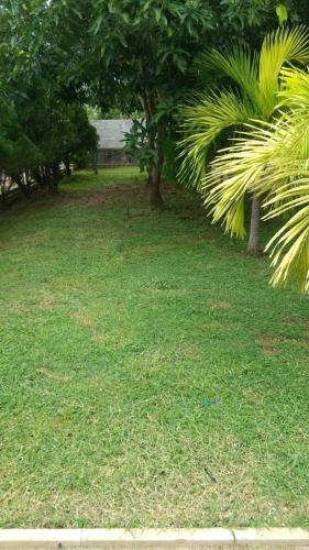 a grassy yard with trees and a building in the background at holidays hotel in Dummaladeniya East