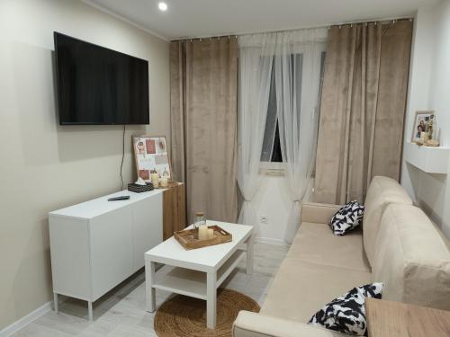 salon z kanapą i telewizorem na ścianie w obiekcie Mieszkanie w centrum Tarnowa w Tarnowie