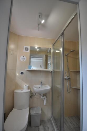 een badkamer met een toilet, een wastafel en een douche bij Dziupla Dębki in Dębki