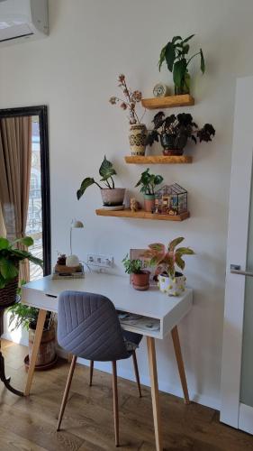 una scrivania con piante in vaso sul muro di Kyiv Jungle apartment a Kiev