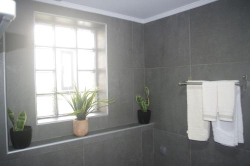 a bathroom with potted plants and a window at Irene Luxury Apartments in Myrtos