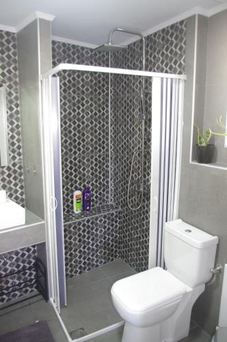 a bathroom with a shower with a toilet and a sink at Irene Luxury Apartments in Myrtos
