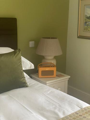 a bed with a radio on a table with a lamp at Caemorgan Mansion in Cardigan