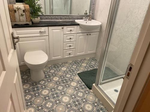 uma casa de banho com um WC, um lavatório e um chuveiro em Palm View Luxury Botanical Themed apartment with sauna em St Austell