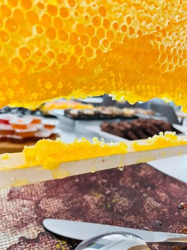 a close up of a beehive on top of a table at Aquamarine - Beach & SPA Hotel- All inclusive in Kranevo