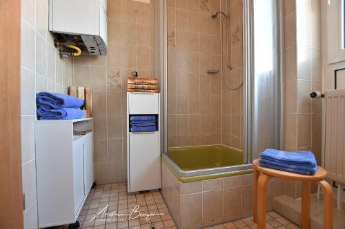 ボルクムにあるStrandhus-4のバスルーム(シャワー、青いタオル、スツール付)