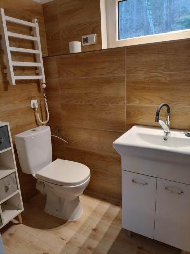 a bathroom with a toilet and a sink at Viking Rożnów in Rożnów
