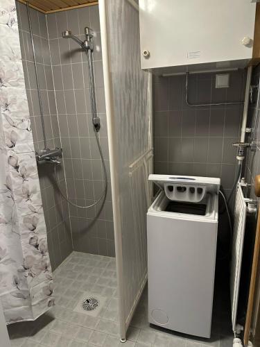 a small kitchen with a stove and a shower at Karhunvartijan Pirtti 5A5 in Kuusamo