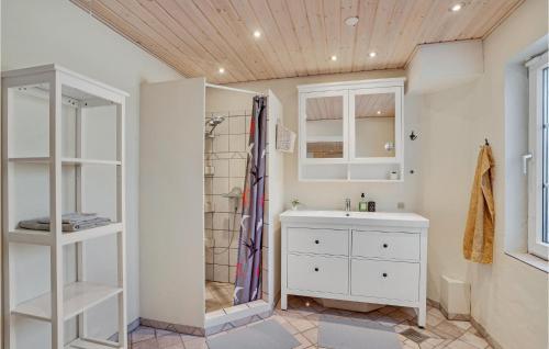 bagno con lavandino bianco e doccia di 4 Bedroom Pet Friendly Home In Spttrup a Spottrup