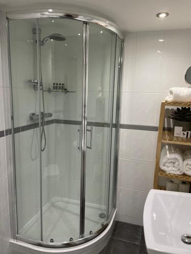 a glass shower in a bathroom with a sink at Caemorgan Mansion in Cardigan