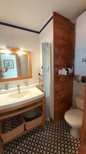 une salle de bain avec un lavabo, des toilettes et un miroir dans l'établissement MALDIVES Joli T2 cabine proche plage Richelieu Cap d'Agde, au Cap d'Agde