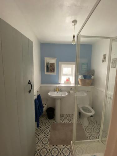 a bathroom with a shower and a sink and a toilet at Maggie's Cottage in Thurles