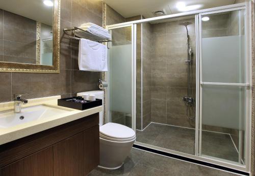 A bathroom at Hotel Modern Puli