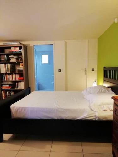 une chambre avec un lit et une étagère dans l'établissement Appartement 2 pièces sur jardin en Pic Saint-Loup, à Valflaunès
