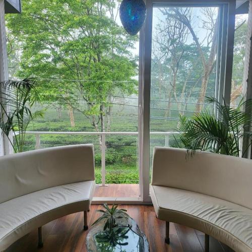 a living room with two white couches and a large window at Super luxury Gold Room with private pool at Homestay by the tea garden Dibrugarh in Dibrugarh