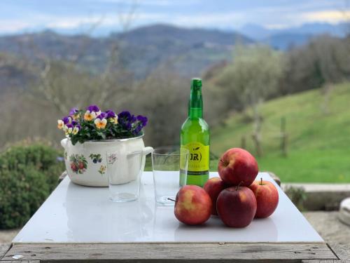 una mesa con manzanas y una botella de vino y flores en Casa rural en Asturias, en Arboleya
