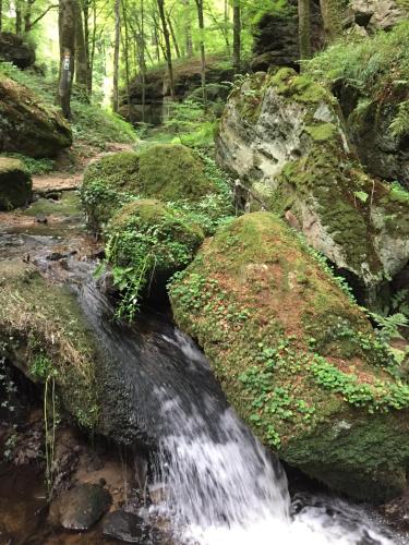 a stream of water flowing over rocks in a forest at Hotel-Restaurant Dimmer - Mullerthal in Wallendorf pont