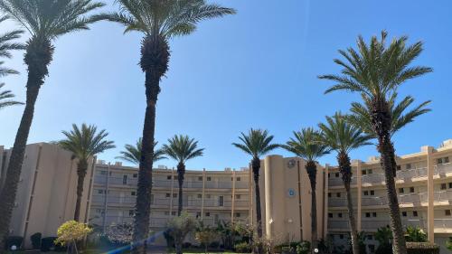 a group of palm trees in front of a building at פרינסס סוויט קיסריה in Caesarea