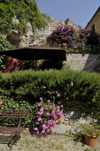 Κήπος έξω από το Villa Salvarezza