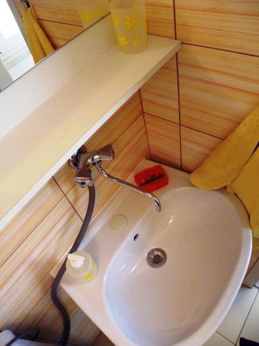 a bathroom with a sink in a small room at Apartment Central in Šibenik
