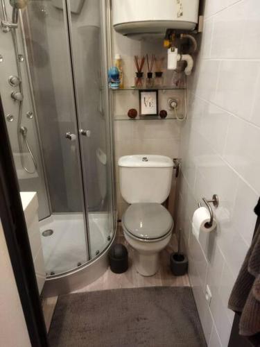 une petite salle de bain avec douche et toilettes dans l'établissement Appartement 2 pieces, à La Londe-les-Maures