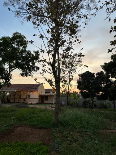 a tree in the yard of a house at Rustic Village Farmhouse in Bengaluru