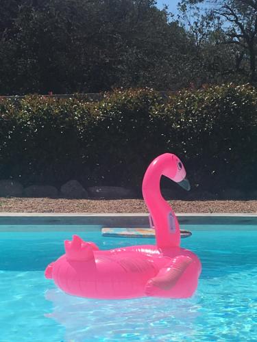 un flotteur de flamants roses dans une piscine dans l'établissement Mini villa proche des plus belles plages, à Porto-Vecchio