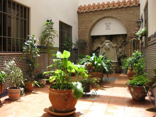 Κήπος έξω από το Hostal Palomares