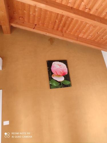 a picture of a pink rose on a wall at B&B Al Cristo in SantʼAmbrogio di Valpolicella