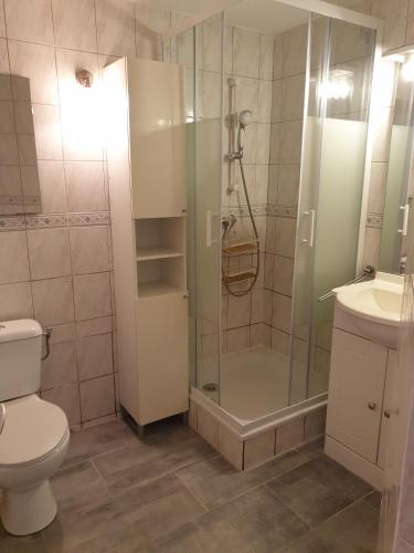 une salle de bain avec une douche, des toilettes et un lavabo dans l'établissement CORALLINES Agréable petite villa 2 pièces mezzanine Mt St Martin Cap d'Agde, au Cap d'Agde