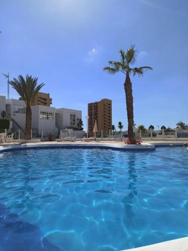 AZAHARA PLAYA LAS VISTAS - STUDIO - Playa de Las Americas