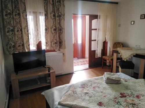 Afbeelding uit fotogalerij van Casa La Agapia in Agapia