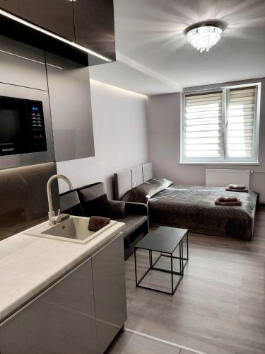 cocina y sala de estar con cama y lavamanos en Apartament Źródełko en Krynica Zdrój