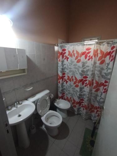 a bathroom with a toilet and a sink and a shower curtain at Casa Román Martínez in San Rafael