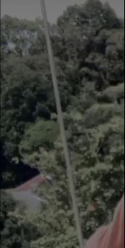una vista de los árboles desde un avión en Chairul ridho, en Pulauberayan Dadap