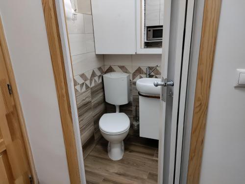 een kleine badkamer met een toilet en een magnetron bij Damjanich apartman in Kaposvár
